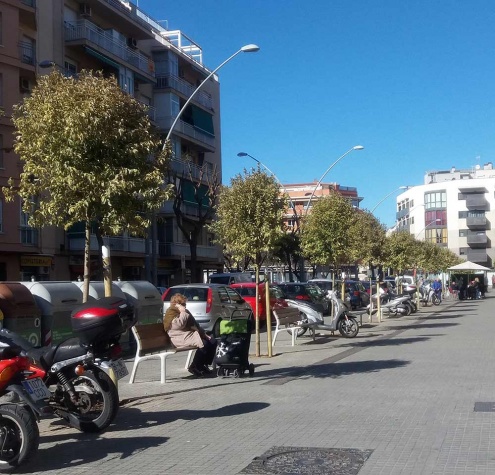 Nous arbres plantats recentment al c. de la Carretera de la Marina. 