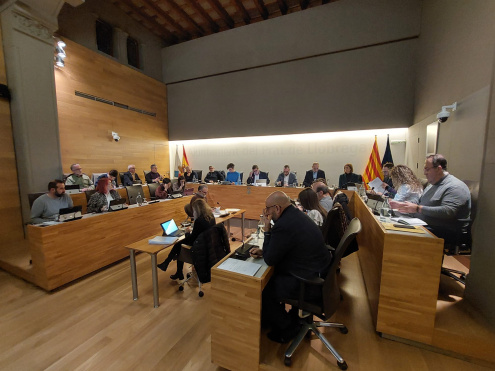 Ple municipal de desembre