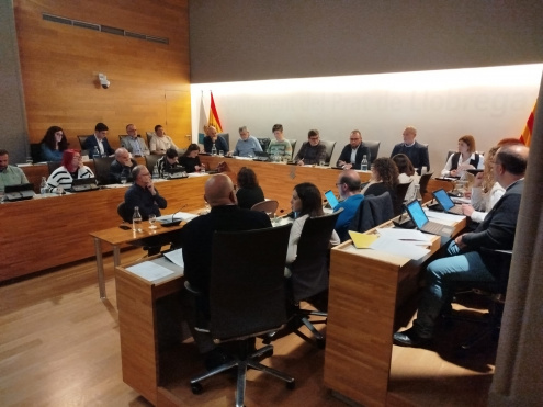 Ple municipal novembre 2024
