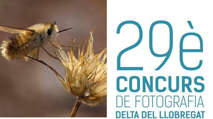 29è Concurs fotogràfic Delta Llobregat