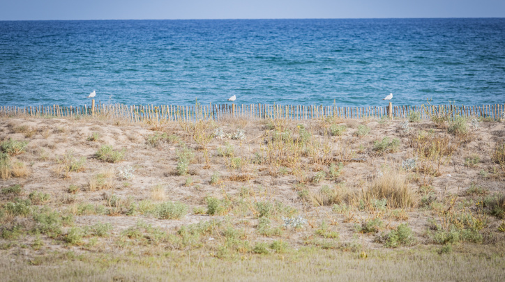 qualitat aigua platja