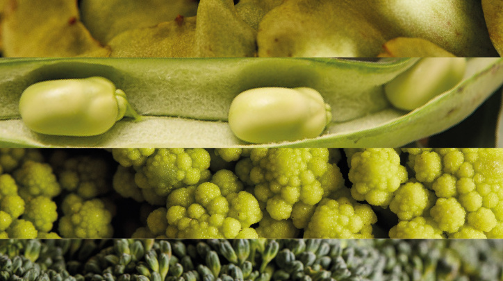 16a edició de les Jornades Gastronòmiques del Pota Blava, la Carxofa Prat i el producte del Parc Agrari
