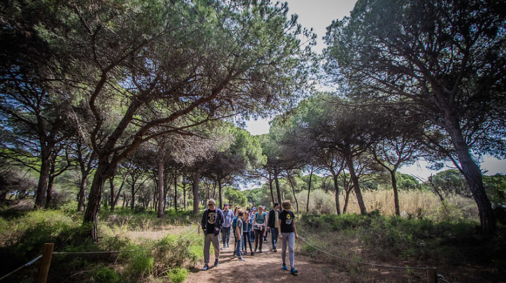 Visita guiada a la pineda de Can Camins