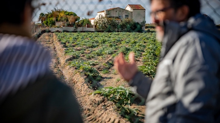 Visita guiada a la finca de la Marina
