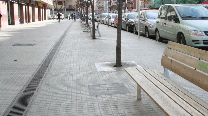 Alguns dels arbres de Judea que seran substituïts.
