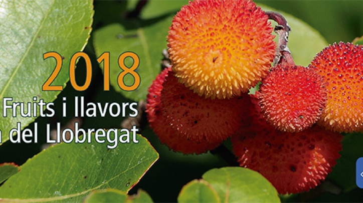 Calendari del Delta 2018