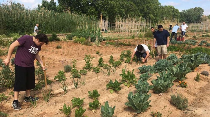 Hort del projecte Passarel·la.