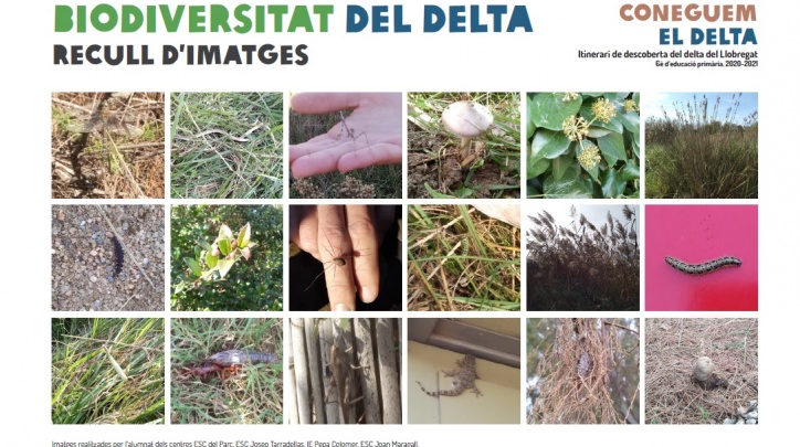 Coneguem el delta