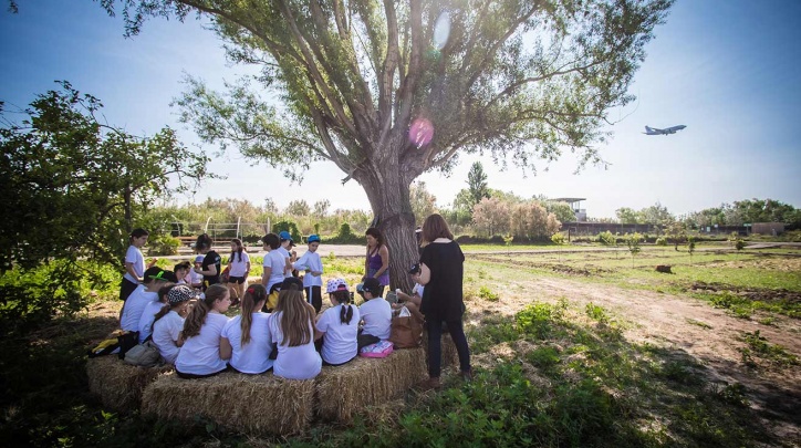 educació ambiental