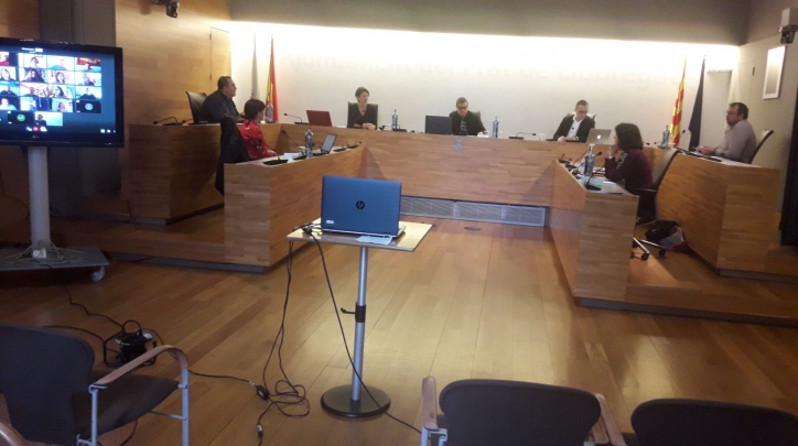 Ple telemàtic d'abril 2
