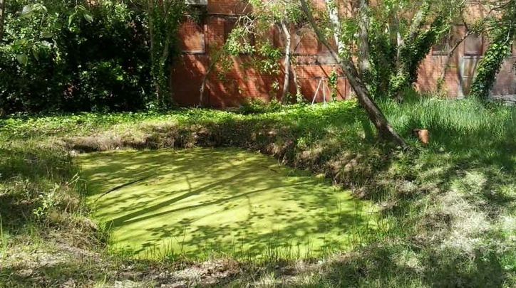 Bassa d'un institut.