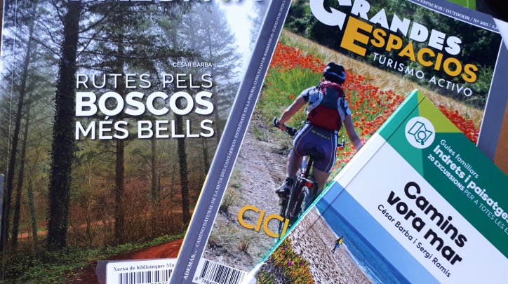 Lectures d'estiu