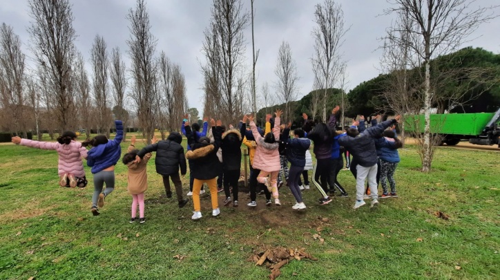 Plantada arbres Parc Nou