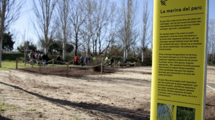 Plantacions a la Marina del parc Nou.