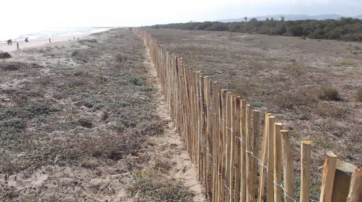 Palissada a la platja del Remolar.