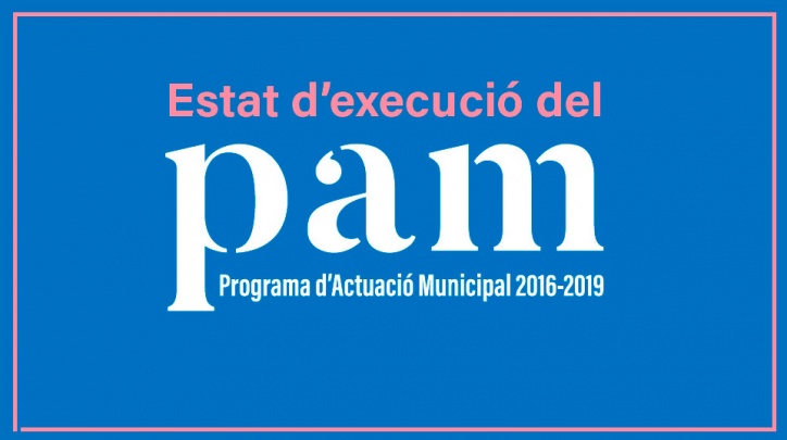 Estat Execució PAM 2016-2019
