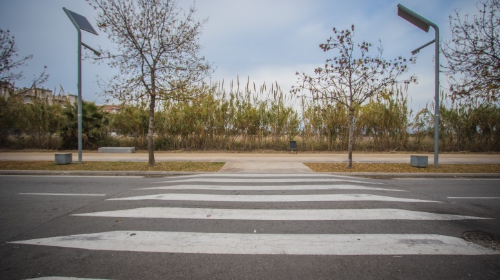 Pas de zebra del Prat