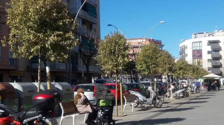 Nous arbres plantats recentment al c. de la Carretera de la Marina. 