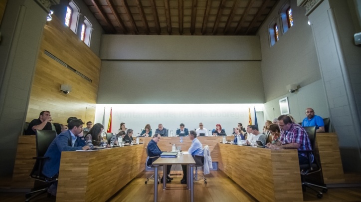 Ple municipal