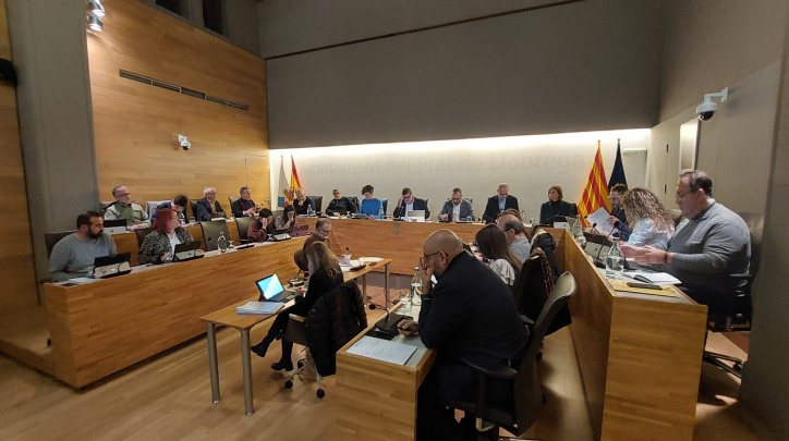 Ple municipal de desembre