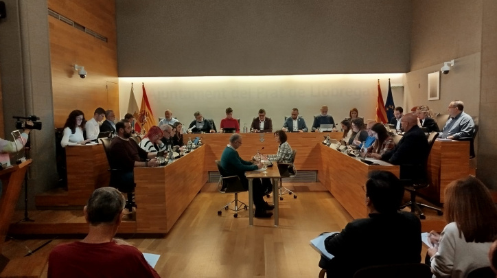 Ple municipal desembre 2024