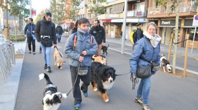 Passejada cívica amb gossos organitzada per Servei de Bon Veïnatge i Convivència, dissabte 16 de novembre de 2019