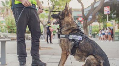 Unitat canina policia local