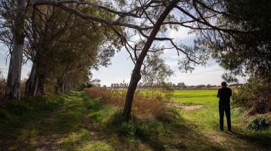 Aspecte de la finca de la Ricarda.