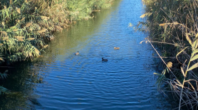 Canal Bunyola