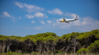 Un avió sobrevola una pineda a la Ricarda, als espais naturals protegits del Delta del Llobregat.