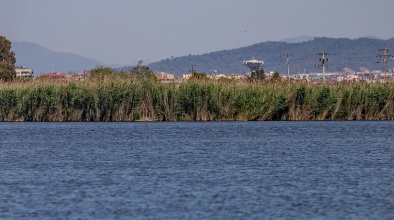 Espai natural protegit de la Ricarda, al Delta del Llobregat.