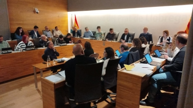 Ple municipal novembre 2024