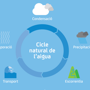 imagen responsive
