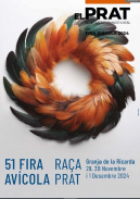 imagen responsive