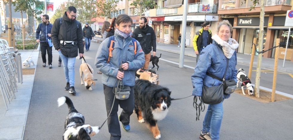 Passejada cívica amb gossos organitzada per Servei de Bon Veïnatge i Convivència, dissabte 16 de novembre de 2019