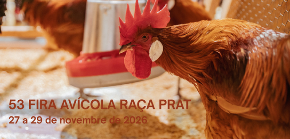 53_fira_avicola_raca_prat.png