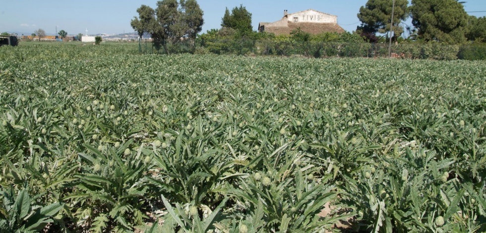 El Prat, ciutat fundadora de la "Red de Ciudades por la Agroecología"