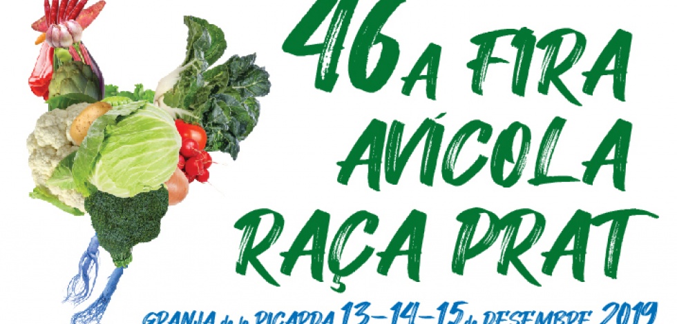 Banner imatge general de Fira Avícola 2019