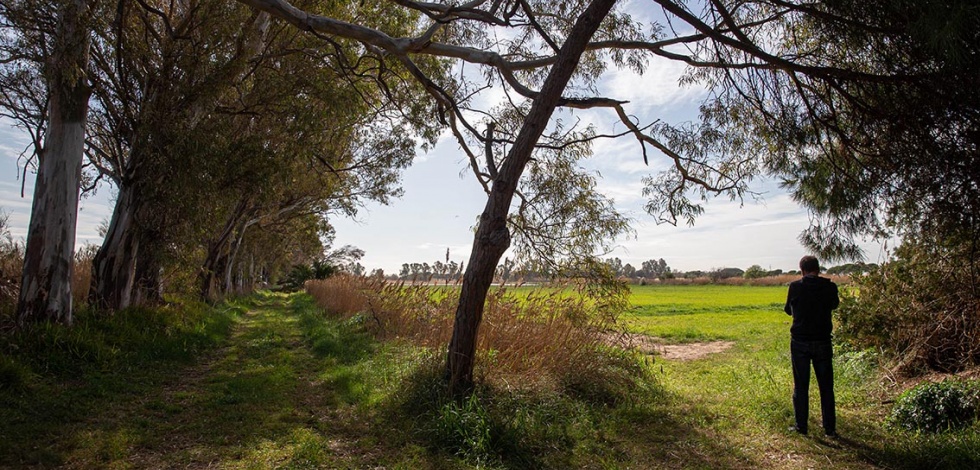 Aspecte de la finca de la Ricarda.