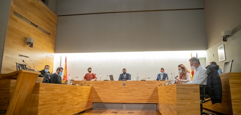 Ple telemàtic desembre 2020