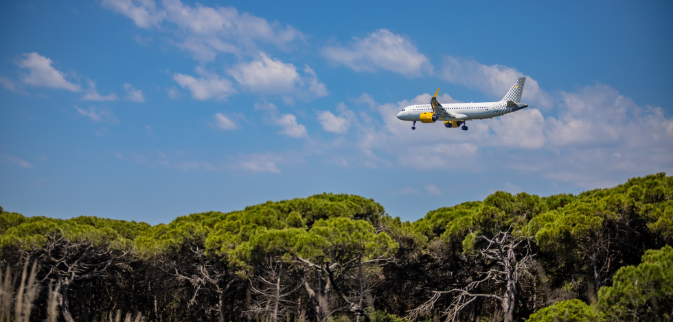 Un avió sobrevola les pinedes litorals de la Ricarda, protegides per la legislació europea.