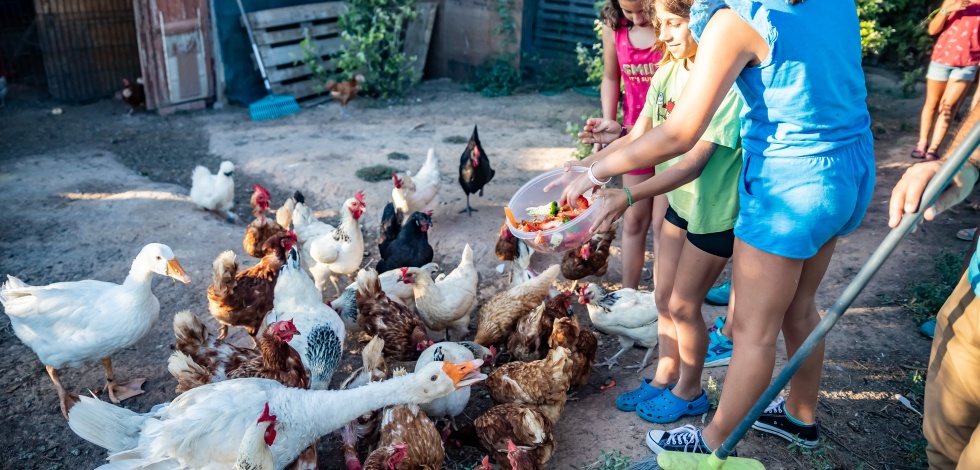 Activitats a l'Escola d'Estiu "Healthy families" (2019)