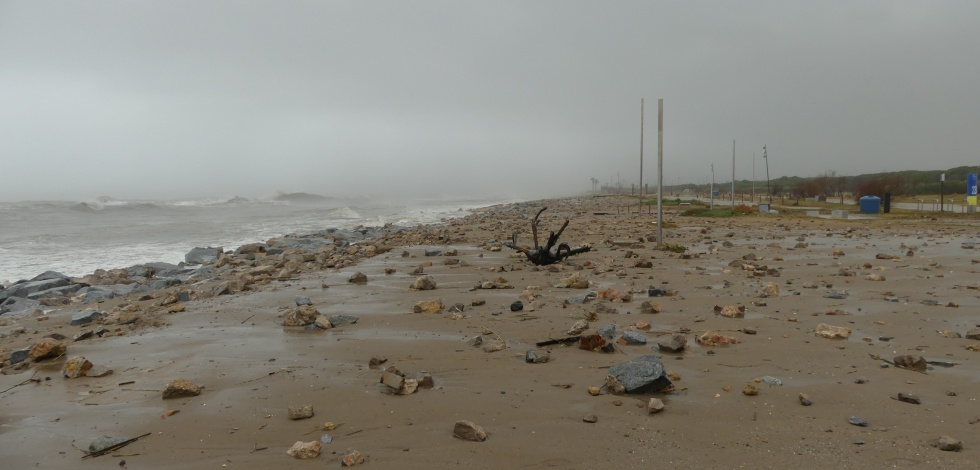 Efectes del temporal Glòria a la platja del Prat 2