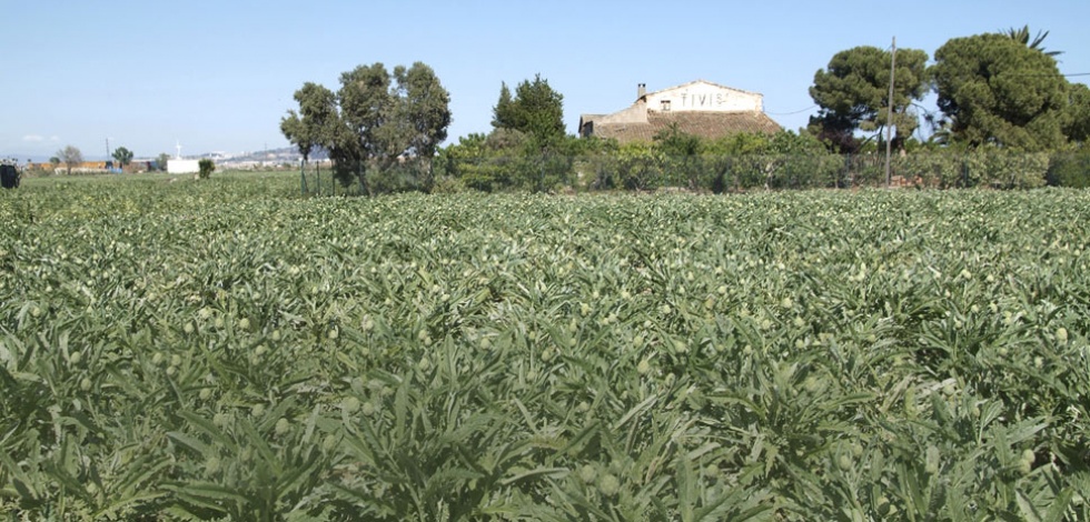 El Parc Agrari