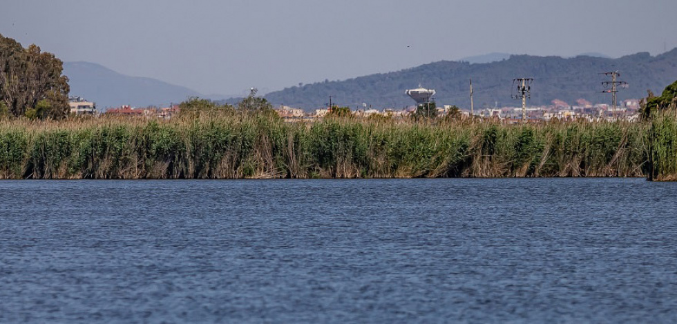 Espai natural protegit de la Ricarda, al Delta del Llobregat.