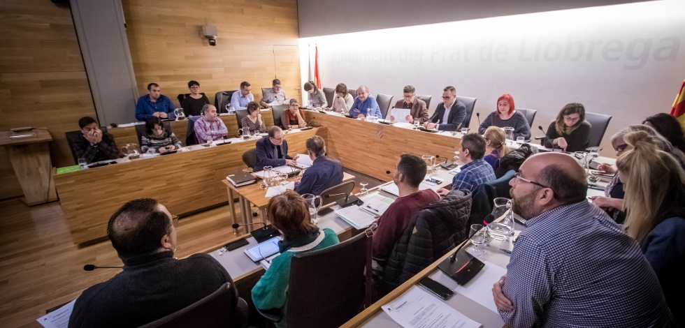 Ple Municipal