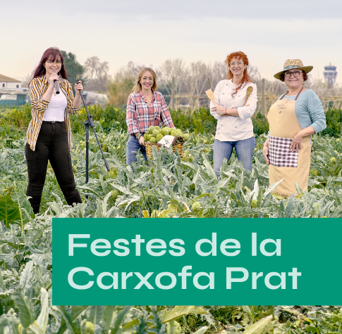 Festes de la Carxofa 23