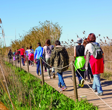 Educació ambiental a les escoles 4